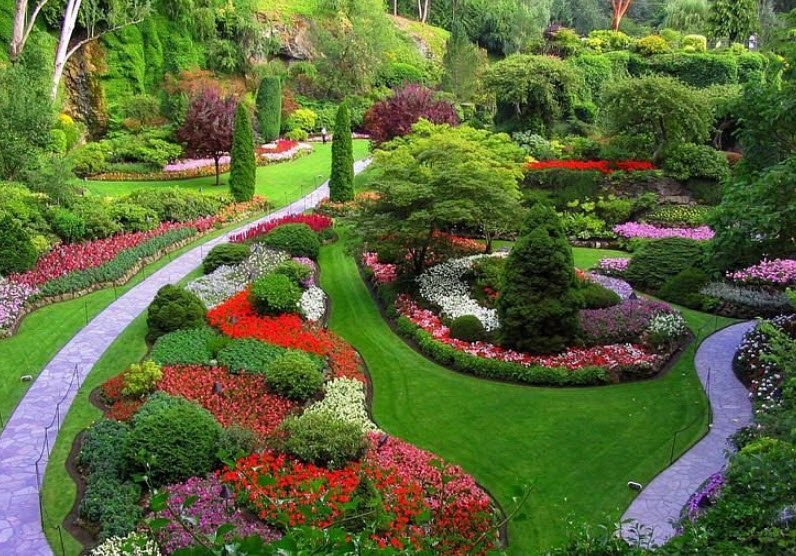 Government Botanical Garden , , India
